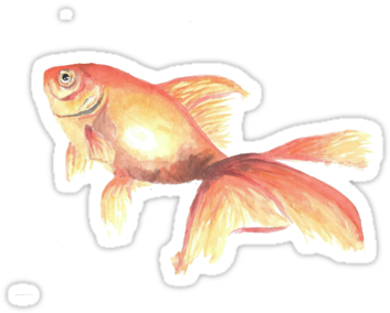A Watercolor Goldfish Because Who Doesn't Need A Little - Goldfish (375x360), Png Download