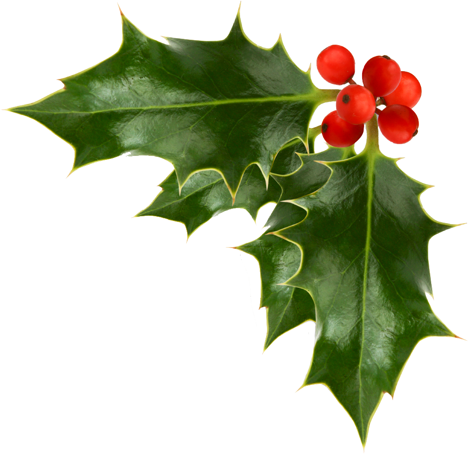 Holly Transparent Clipart Clipart K - Snowflake Earrings Silver Plated Studs (974x925), Png Download