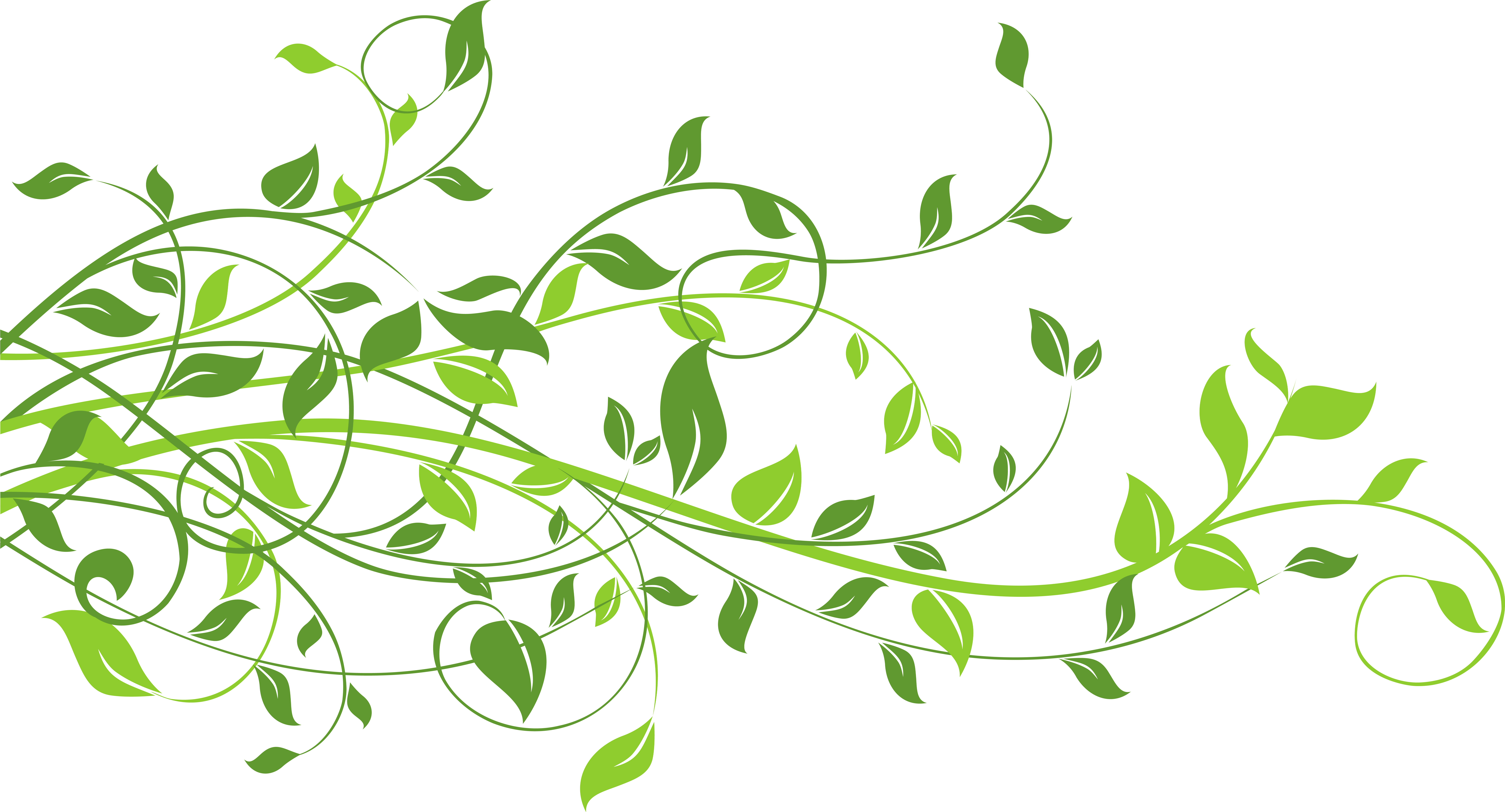 Spring Png (9508x5221), Png Download