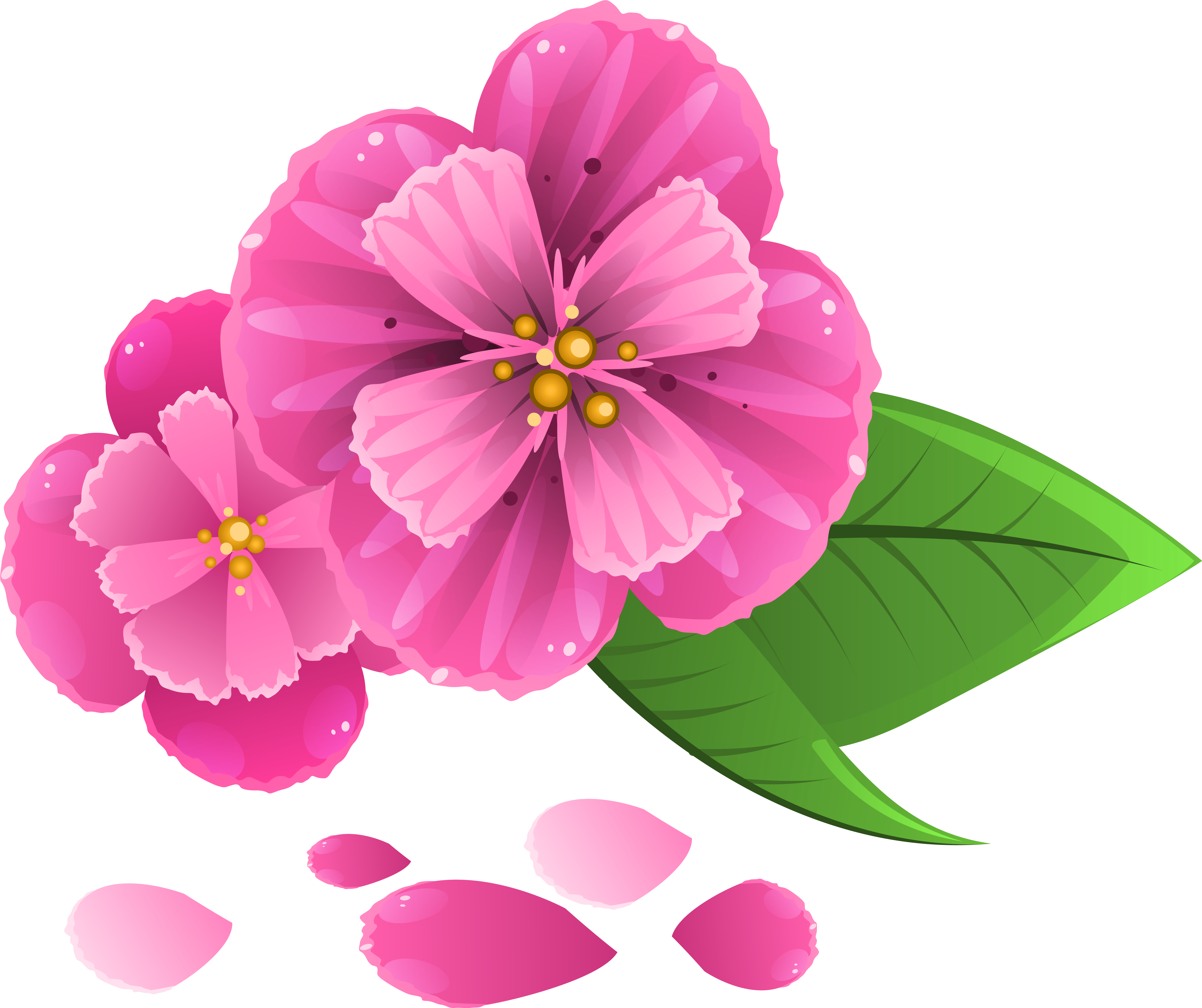 Pink Flowers Png (6287x5273), Png Download