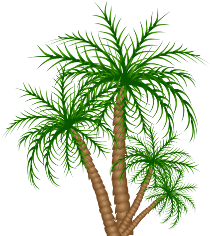 Congo Playfield Palm Trees - Palm Trees (424x480), Png Download