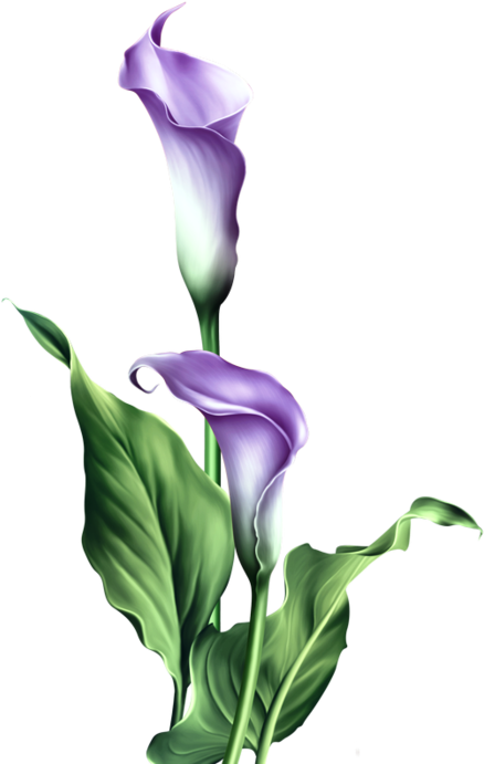 Purple Lily Easter Blessings Card (455x699), Png Download