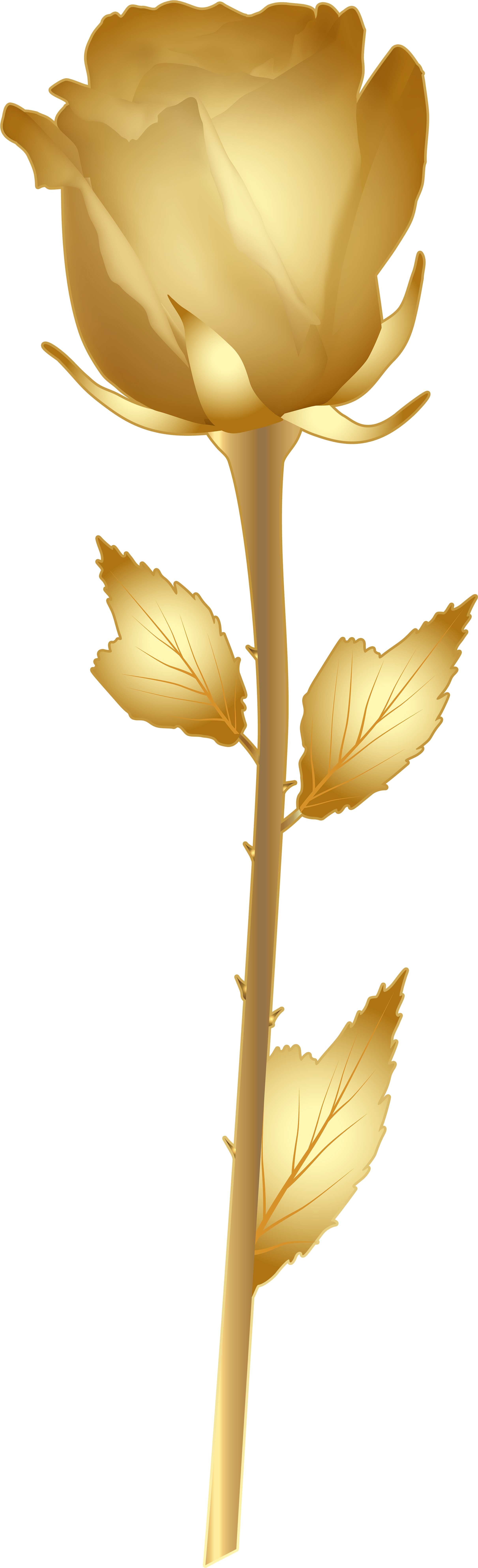 Beautiful Gold Rose Png Clip Art Image - Golden Flowers Clip Art (5638x8000), Png Download