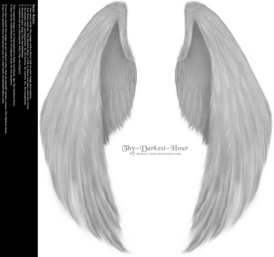 Download Angel Wings Png Clipart Angel Wing Png Full Size Png Image Pngkit