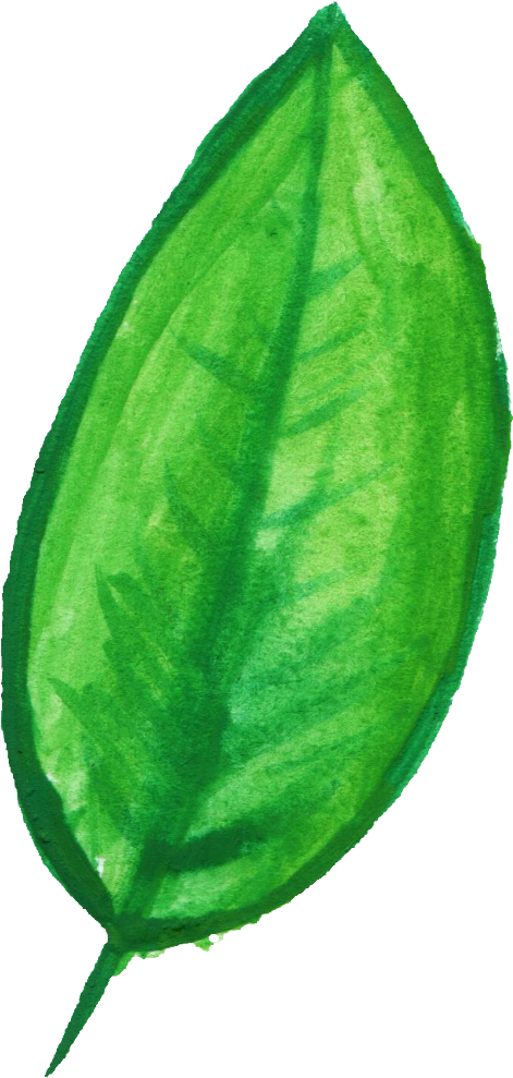Svg Royalty Free Download Transparent Watercolours - Watermelon Watercolor Png (471x989), Png Download