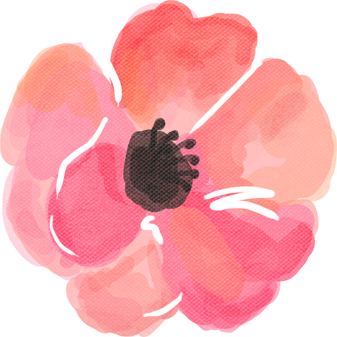 Load 4 More Imagesgrid View - Poppy (1500x1500), Png Download