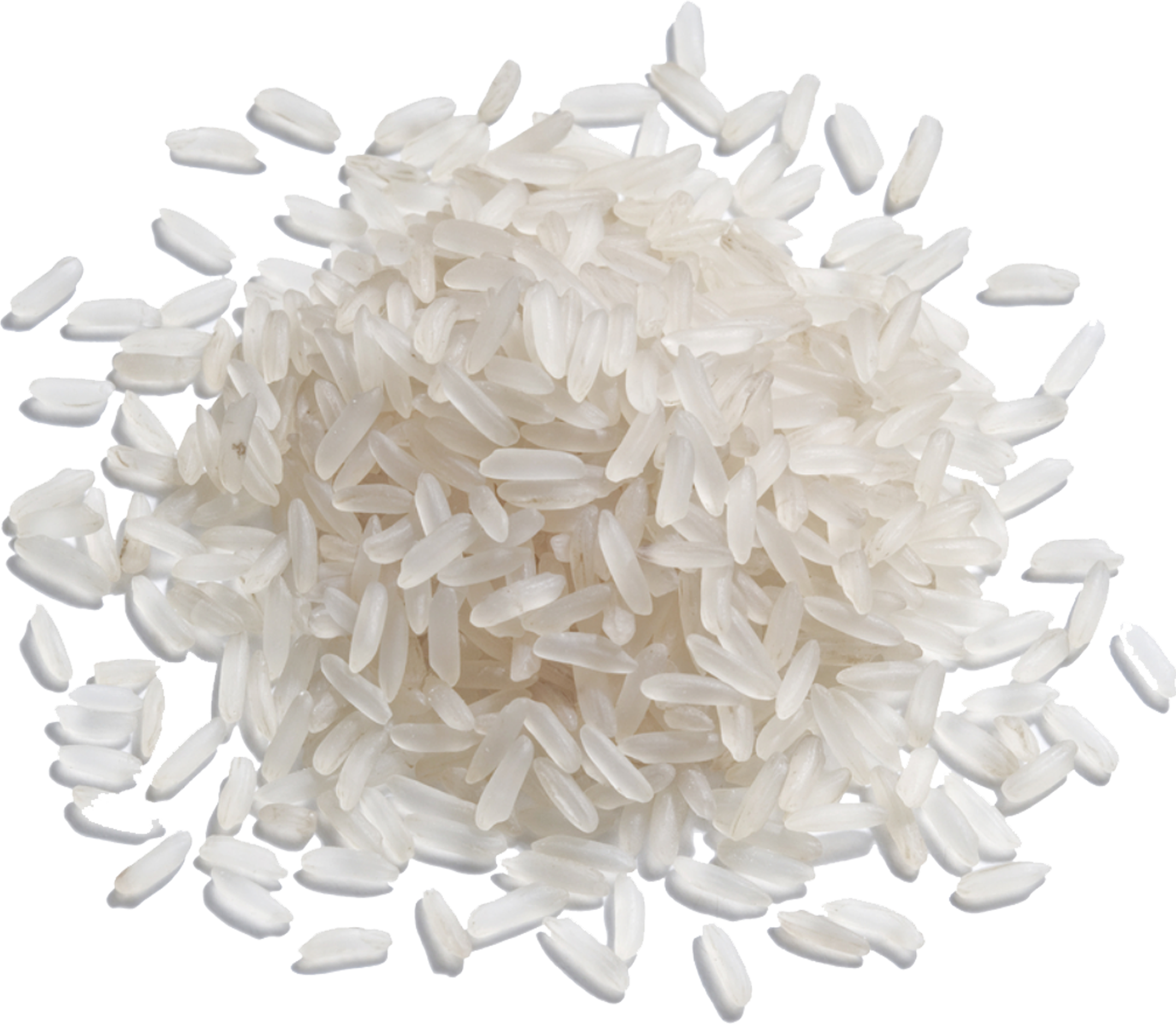 Grain Of Rice Png - Bad Boy Can Fit So Many Fucking (2548x2287), Png Download