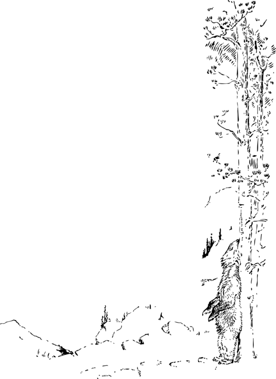Drawing Encapsulated Postscript Scratch Cdr Computer - Transparent Scratch Png (546x750), Png Download