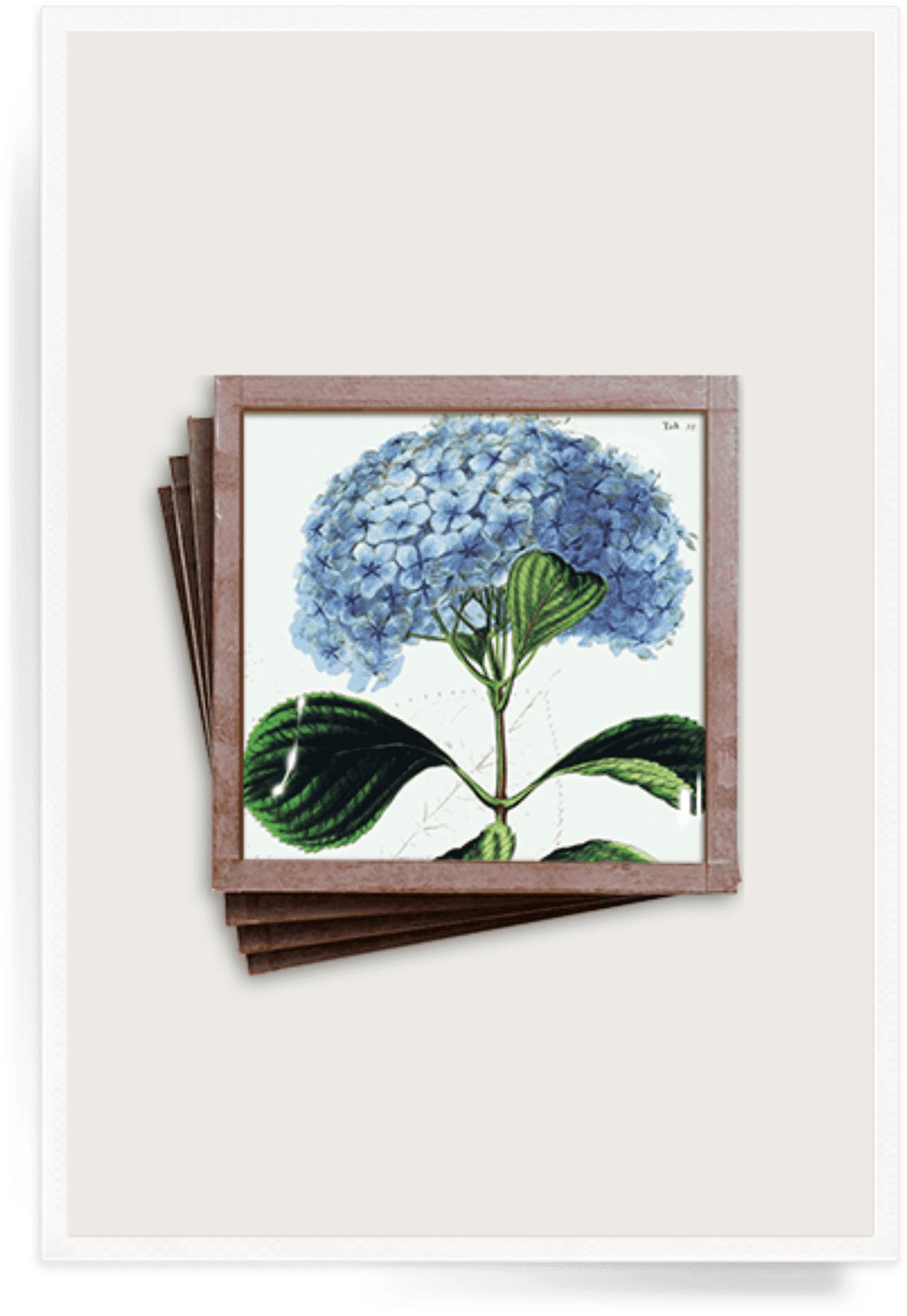 Ben's Garden - Ben's Garden Blue Hydrangea 8"x 8" Valet Glass Tray (1345x1920), Png Download