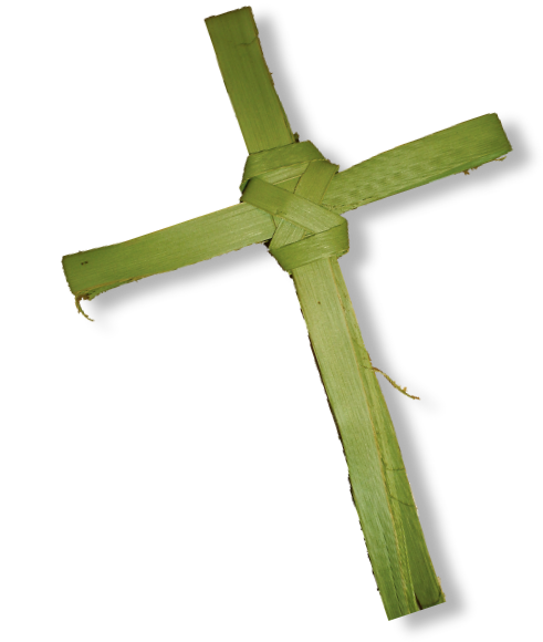 95 Per 100 Strips For The 13” To 20” - Palm Sunday Cross Png (623x716), Png Download