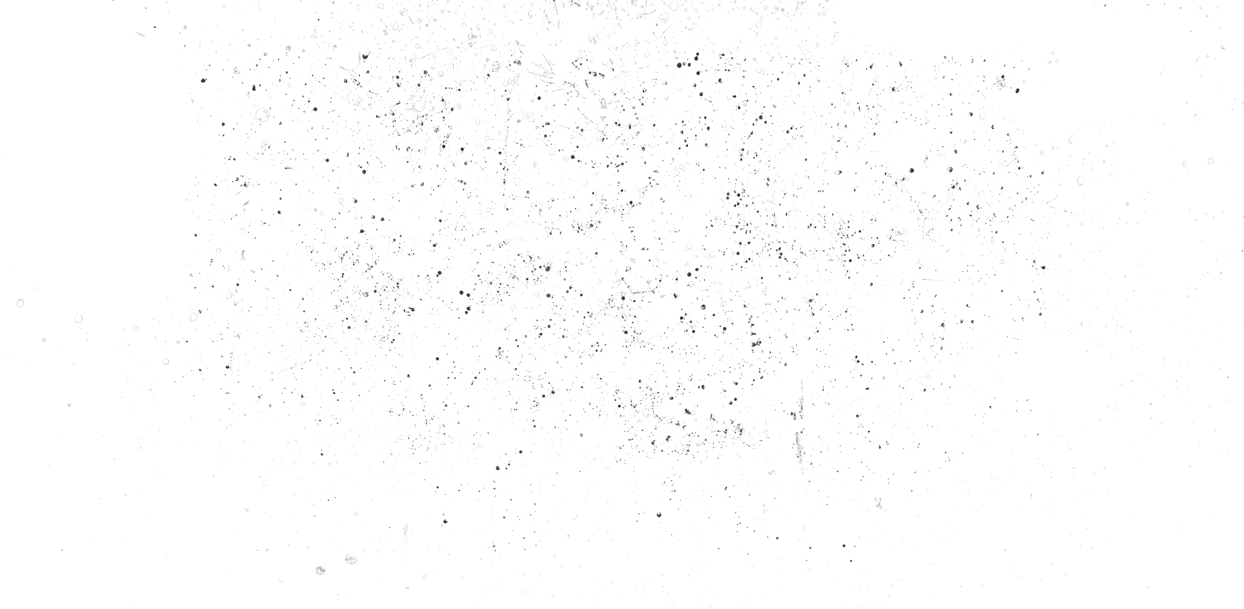 Tour (2560x1254), Png Download