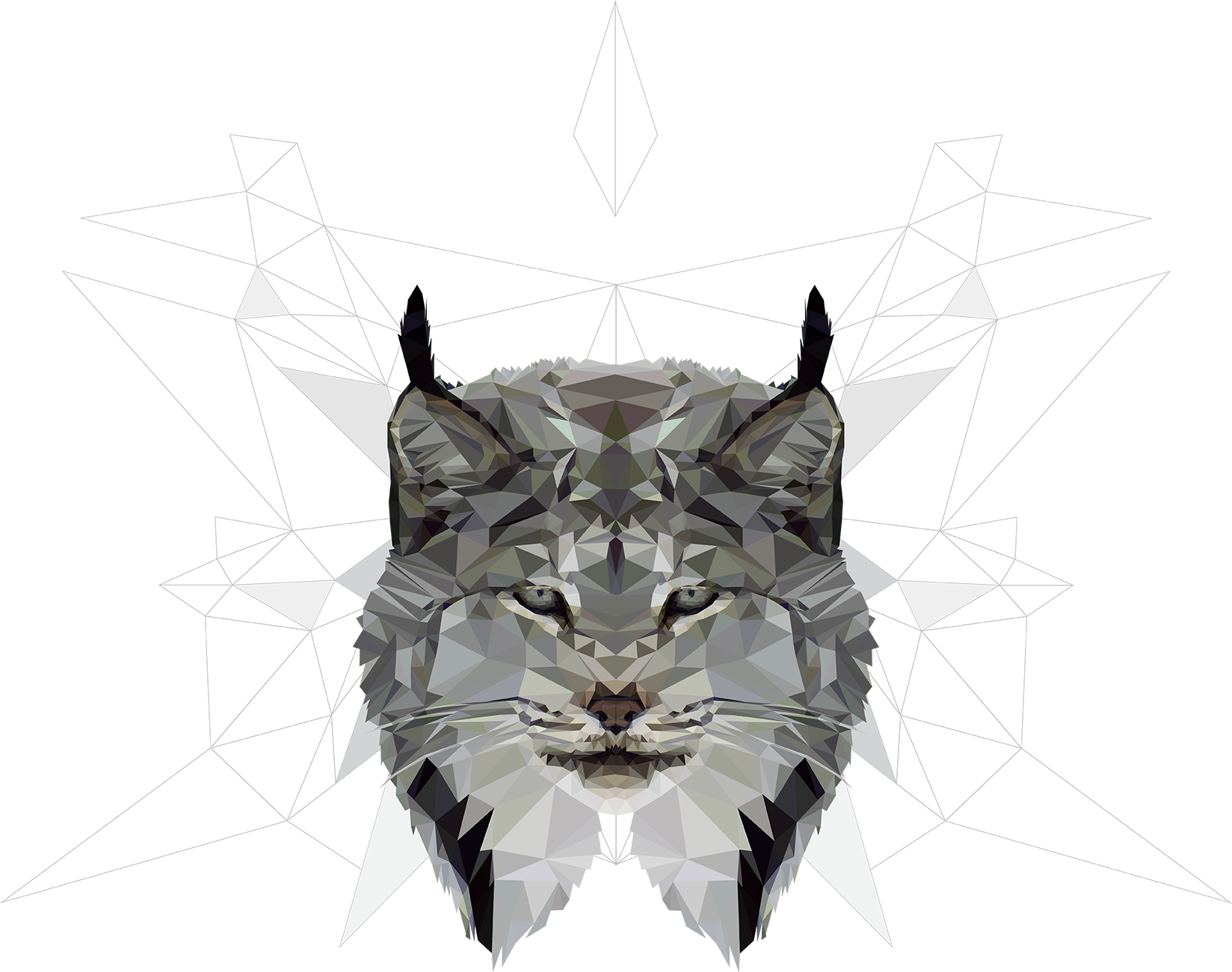 Animal - Drawing (1648x1300), Png Download