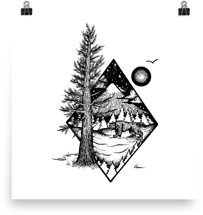 Pine And Mountain Lion (1000x1000), Png Download