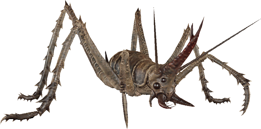 Cave Cricket Black - Grasshopper (1180x604), Png Download