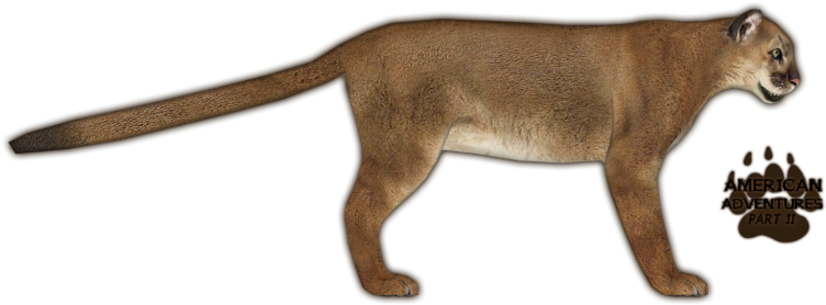 Lionmountain Jimmyzhoopz - Zoo Tycoon 2 (751x751), Png Download
