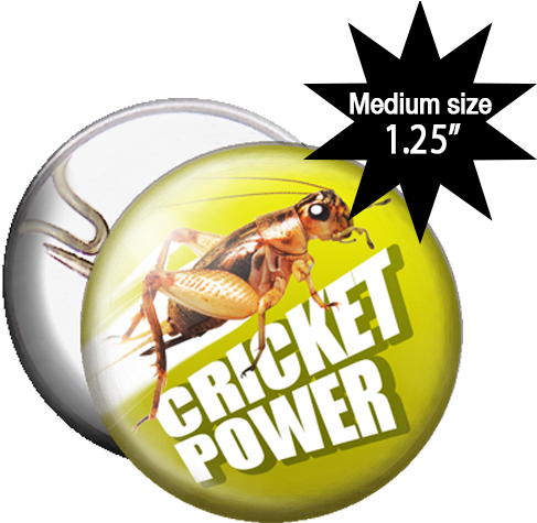 Zoom - Cricket (533x533), Png Download