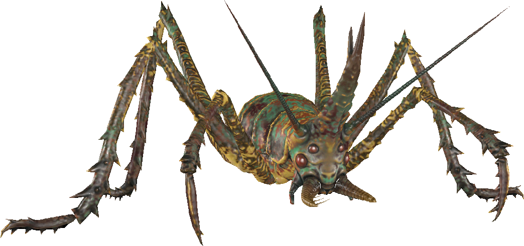 Cave Cricket Piercer - Cave Crickets (1180x612), Png Download