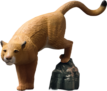 Mountain Lion W/rock - Rinehart Mountain Lion With Rock 3-d Foam Archery Target (450x505), Png Download
