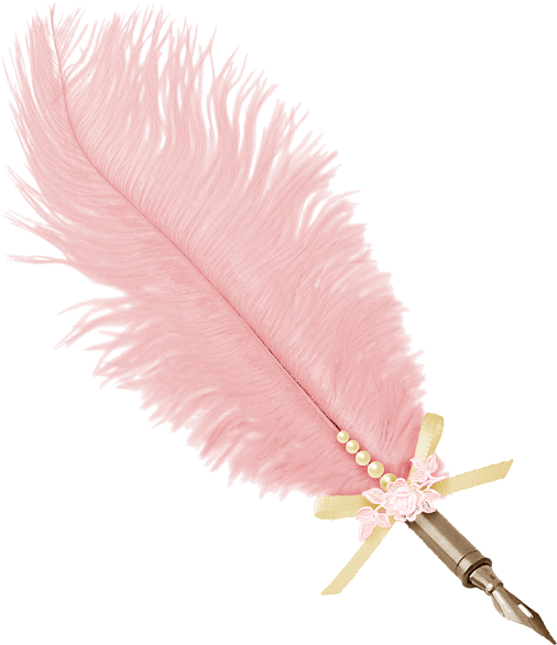 Pink Feathers Photo - Pink Feather Pen Png (629x597), Png Download