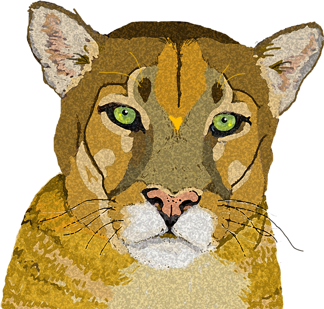 Mountain Lion 3 Copy - Cougar (1315x1060), Png Download