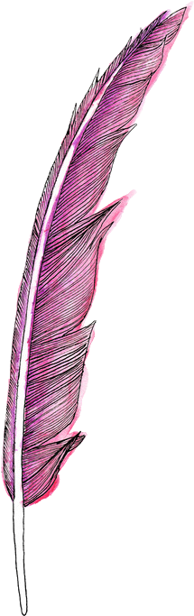 Feather, Pena, And Pink Image - Feather Png (422x750), Png Download