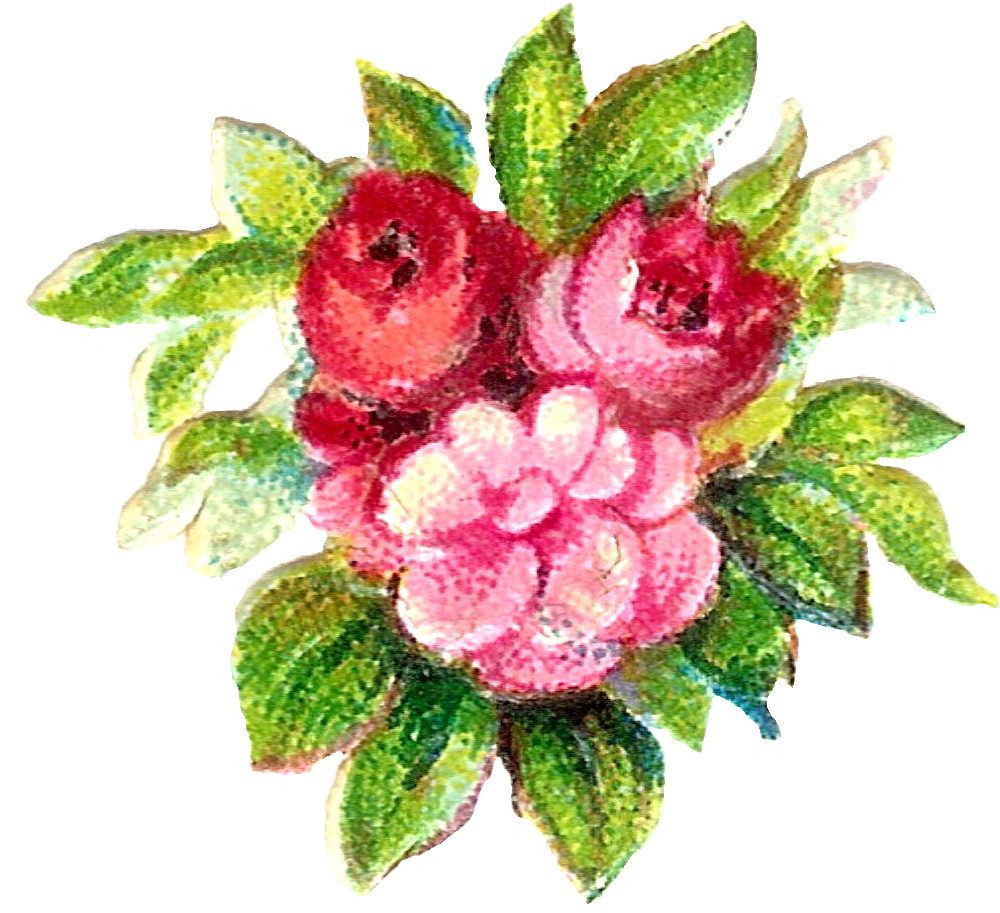 Vintage Flower Clip Art, Floral Border - Victorian Flower Transparent (1195x1265), Png Download