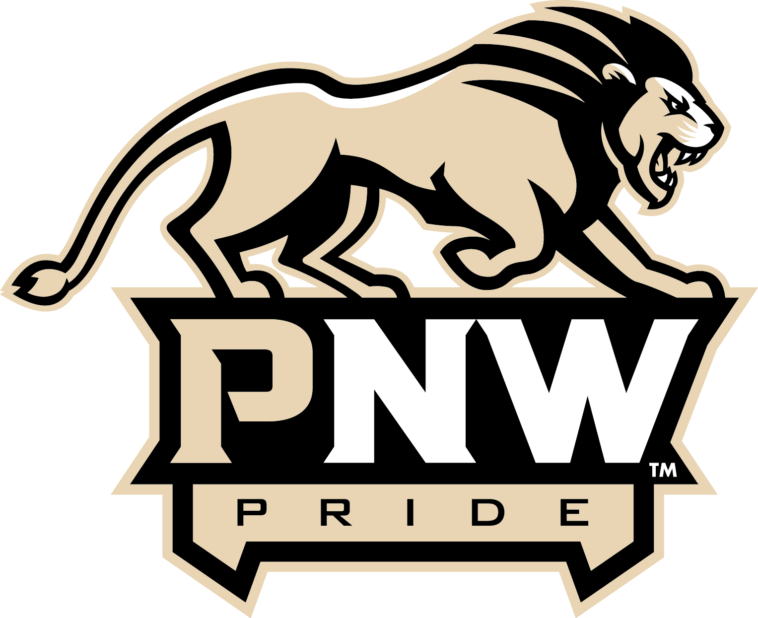 Download Png Format Informal University Mark - Purdue University Northwest Mascot (1527x1245), Png Download
