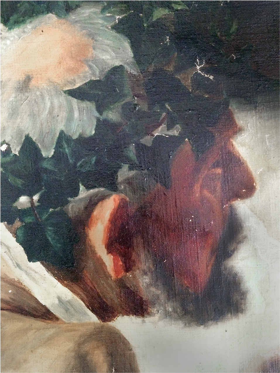 Stallion (1400x1400), Png Download