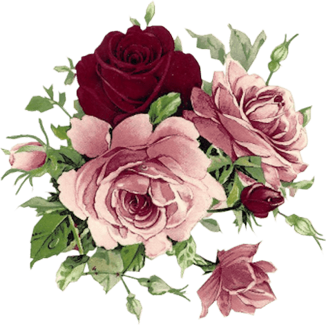 Zoom Diseño Y Fotografia - Rosas Vintage Png (472x470), Png Download