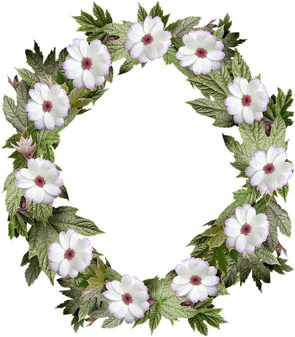 Wreath, Frame, Border, Flower, Leaf - Photograph (631x720), Png Download