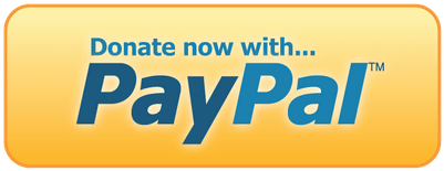 Buttons Transparent Images Stickpng - No Background Paypal Donation Button (400x400), Png Download
