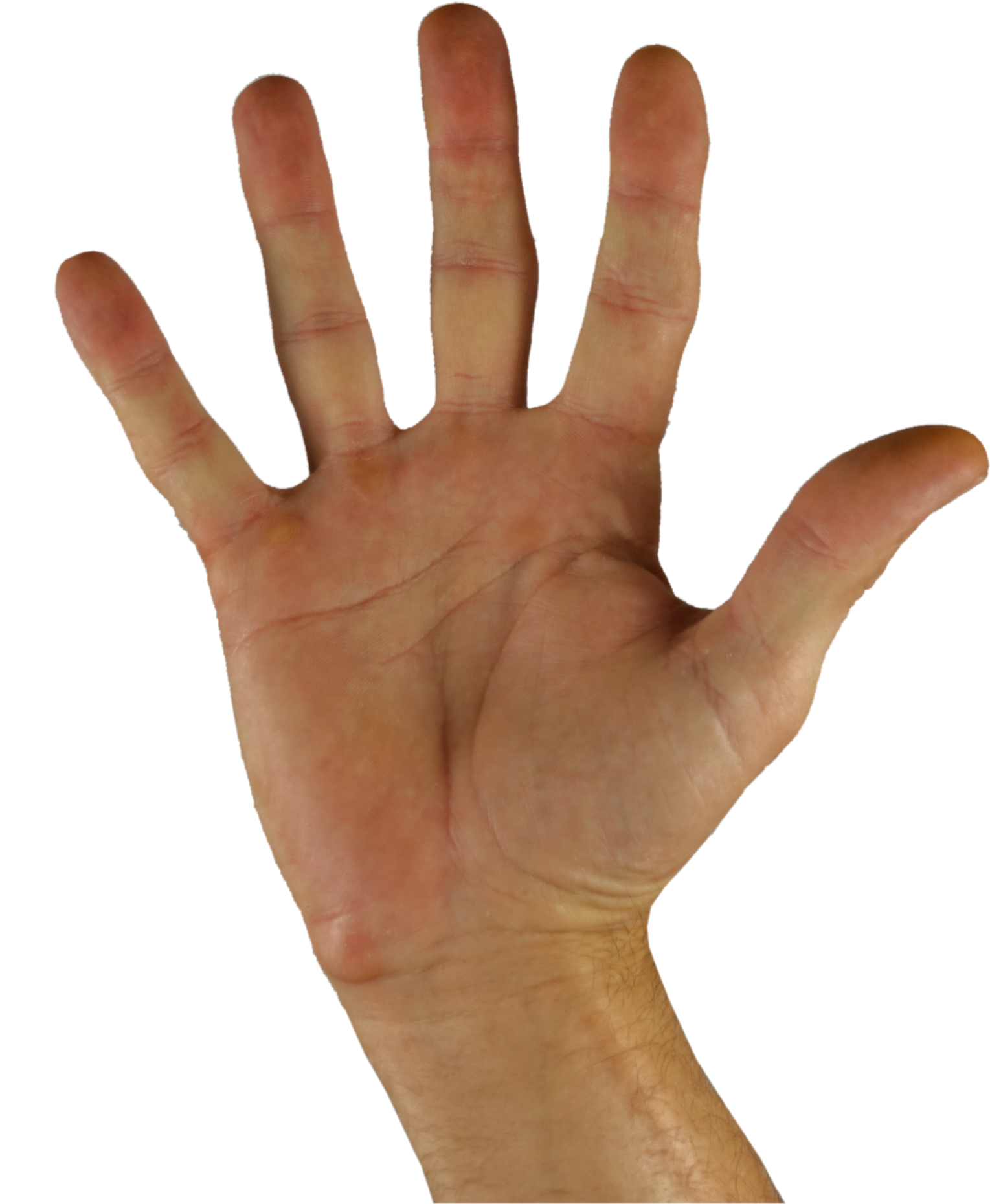Hello Greeting Hand Finger Five Sign Language Background (3504x2336), Png Download