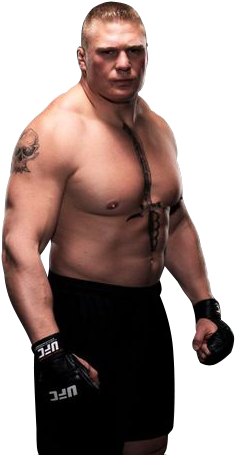 Brock Lesnar - Brock Lesnar Ufc (375x500), Png Download