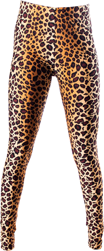 Leopard Print Leggings Transparent Background - Tights Transparent Background (360x880), Png Download