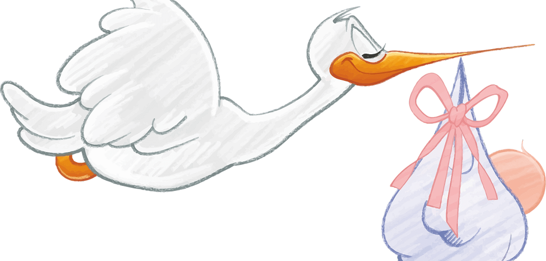 Pregnancy No-nos - Schwangerschaft Glückwünsche (1068x510), Png Download