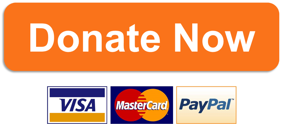 Donate Now Button Png (981x435), Png Download