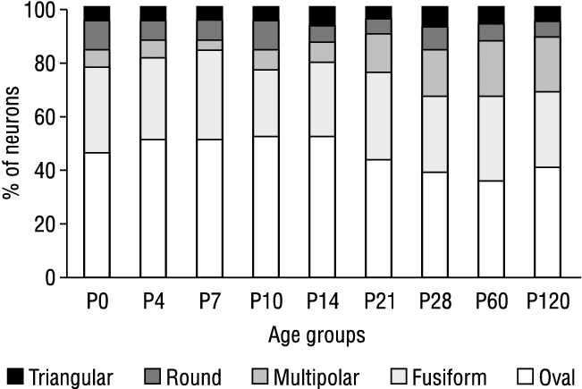 Percentage Distribution Of Variously Shaped Nos-ir - Number (651x435), Png Download