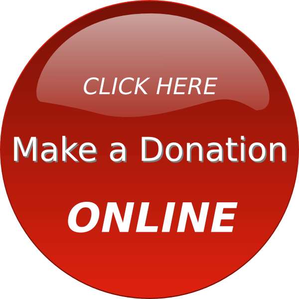 Albany Community Trust Donate Online Now Button - Donate Button Animated (600x600), Png Download