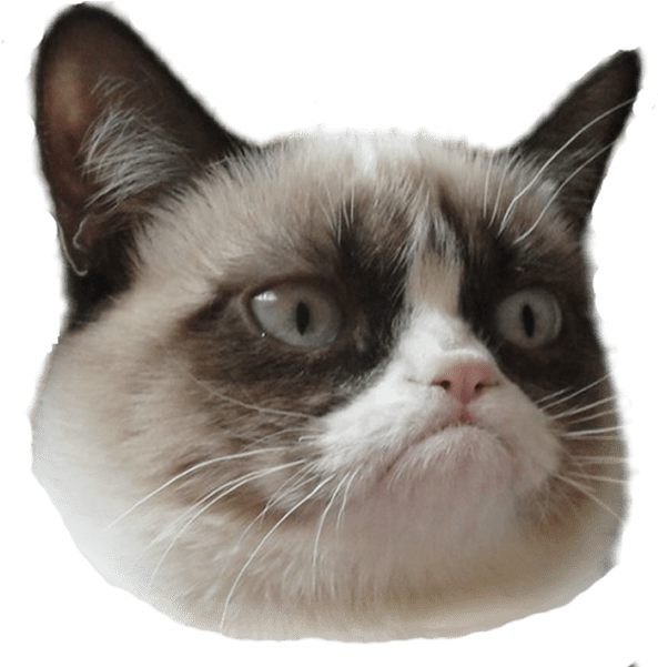 Grumpy Cat Head Right - Grumpy Cat With Hat (600x600), Png Download