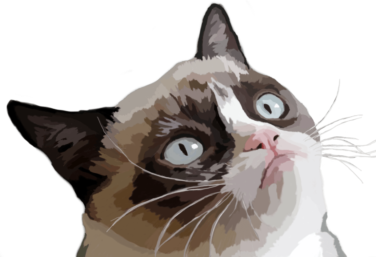 Grumpy Cat Vector Illustration - Grumpy Cat Evil Cat Meme (1221x1094), Png Download