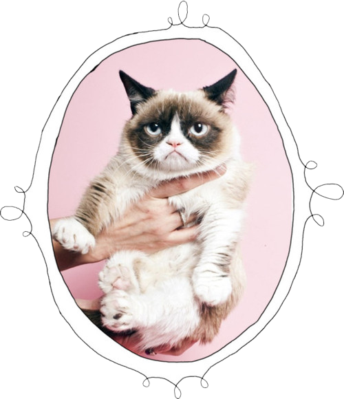 Cat Mine Transparent Grumpy Grumpy Cat Sad Cat - Cute Happy Monday (500x580), Png Download