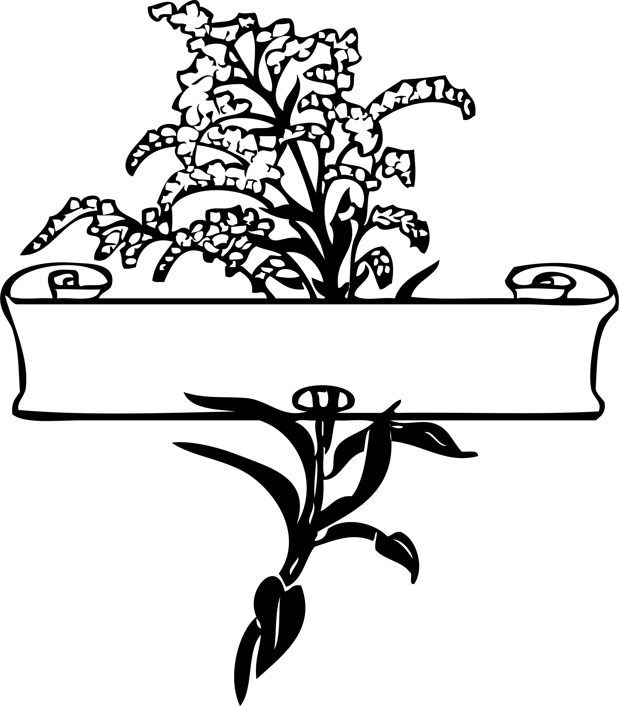 Floral Line Drawings - Scroll Clip Art (2104x2400), Png Download