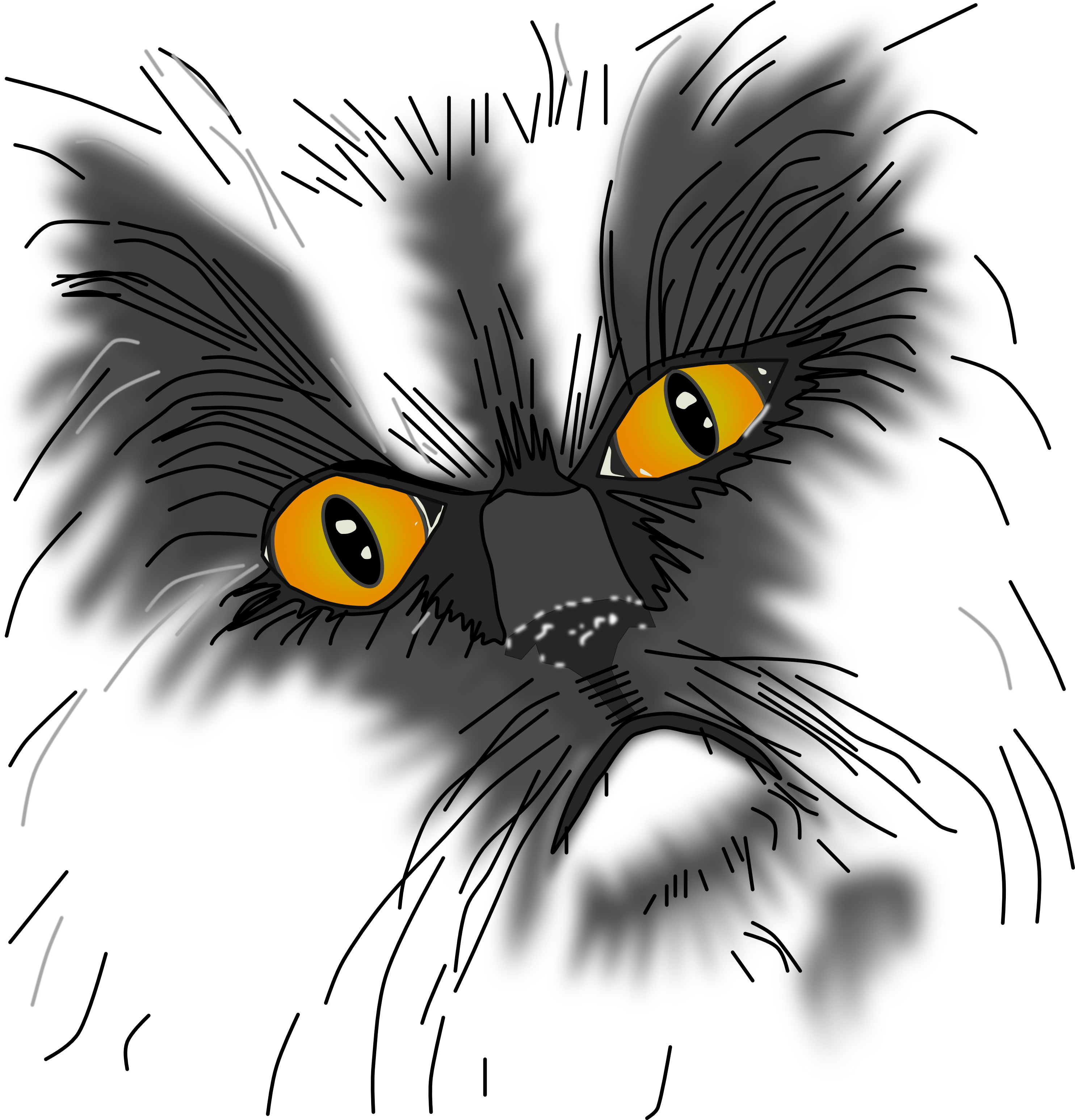 A Grumpy Cat Not All Here - Eine Mürrische Katze Nicht Alle Hier Postkarte (3025x3165), Png Download