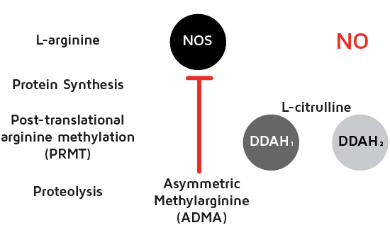 Image - Diagram (550x349), Png Download