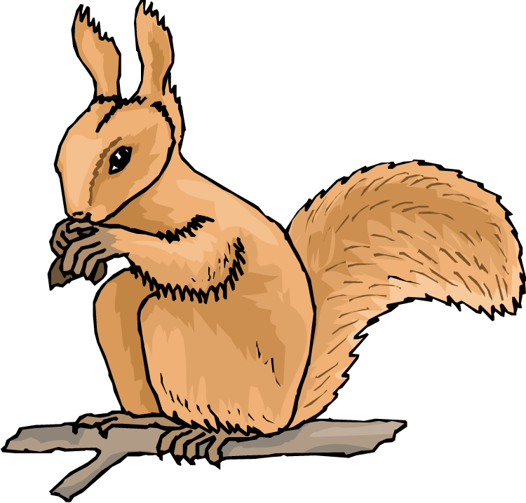 Free Squirrel Clipart - Squirrel Clipart Animation (750x718), Png Download