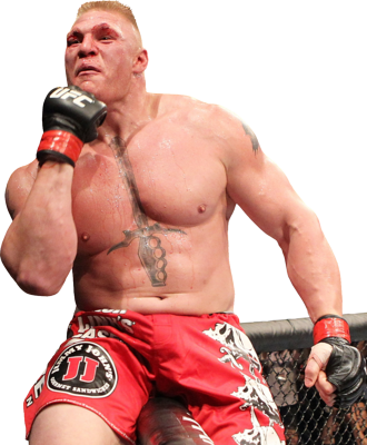 Brock Lesnar This Is A Very Controversial One Since - Brock Lesnar Ufc (330x400), Png Download