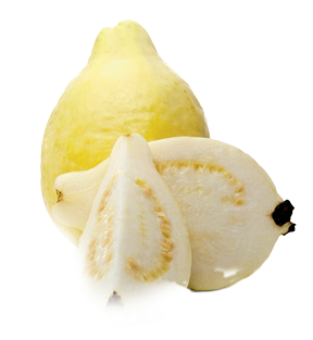 Guava Pulp - Watermelon (400x400), Png Download