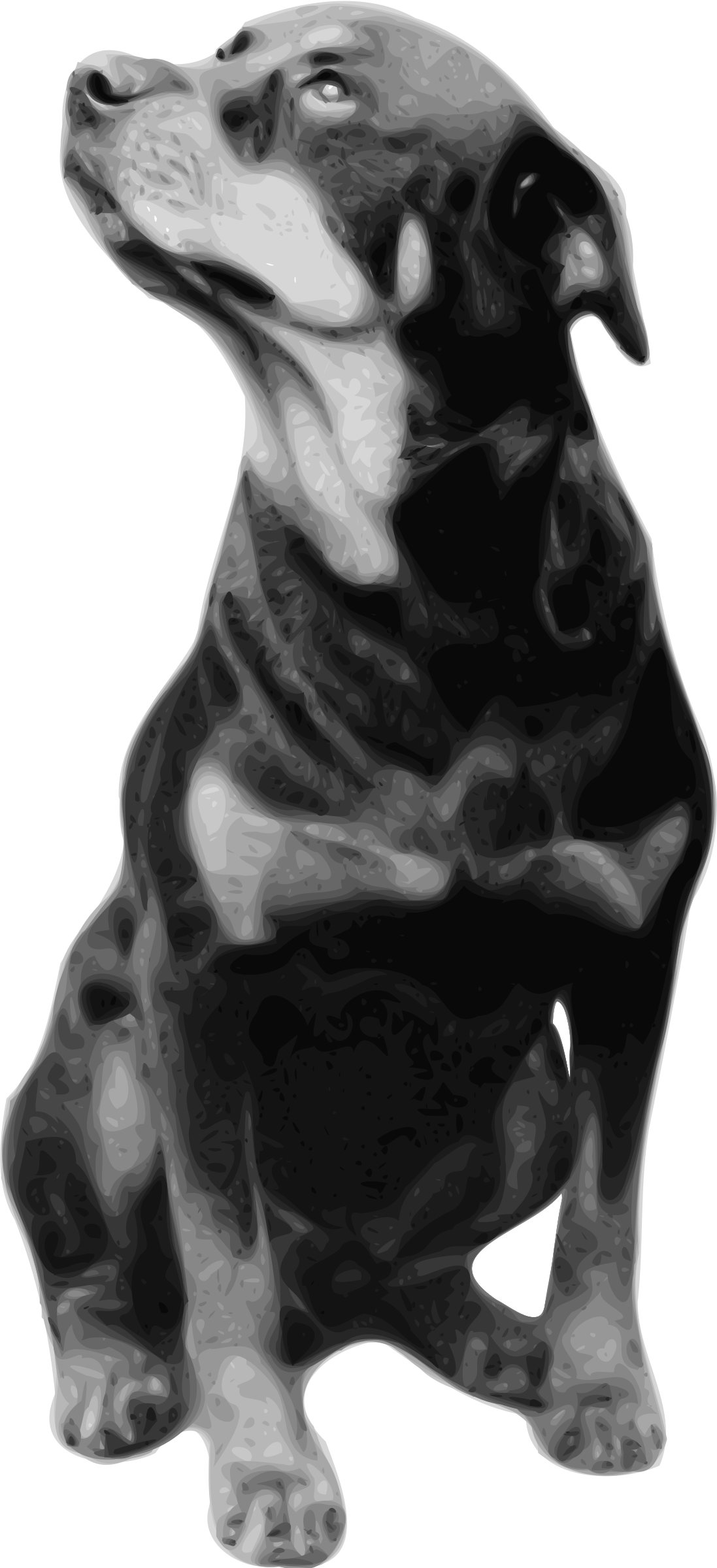 Rottweiler Png (1097x2400), Png Download