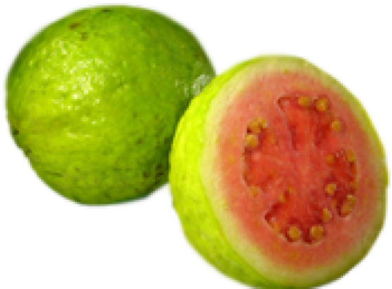 Guava Fruit (640x480), Png Download