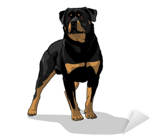Piauí (400x400), Png Download